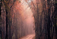 美国通用(GE)冰箱400全国统电话教导+冰箱收纳盒巧用，冷冻食品存储无忧